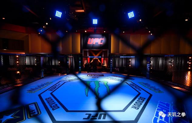 UFC 250落幕：“母狮”双冠霸业无人能敌！