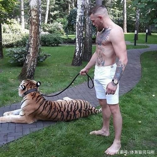 UFC嘴炮这次退役不复出了?受够了愚蠢比赛,但成功引来了梅威瑟 UFC嘴炮这次退役不复出了?受够了愚蠢比赛,但成功引来了梅威瑟