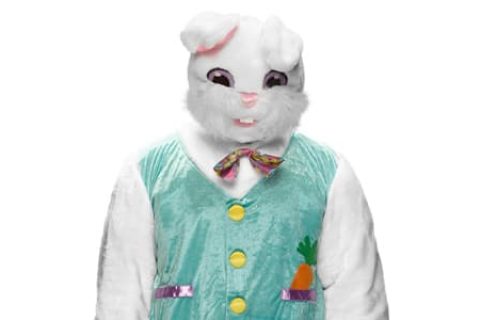 兔子（The Bunny）
