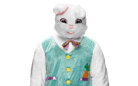 兔子（The Bunny）