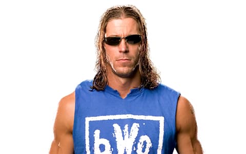 史蒂文·理查兹（Stevie Richards）