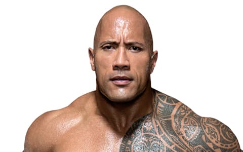 盘点10个有史以来最好的WWE摔角手,包括胡克霍根和巨石强森