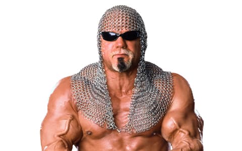 斯科特·斯坦纳（Scott Steiner）
