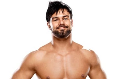 贾斯汀·加布里尔（Justin Gabriel）