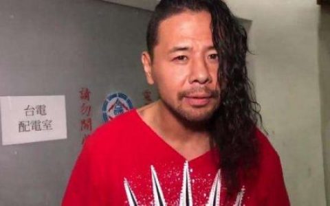 NJPW -G1 Climax 25 第十八日 冈田和睦VS中邑真辅