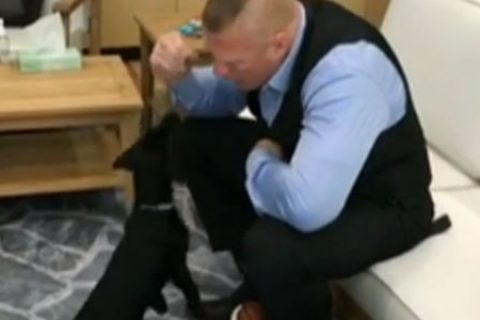 你真的了解大布吗！生活中的大布是个怎么样的人呢？