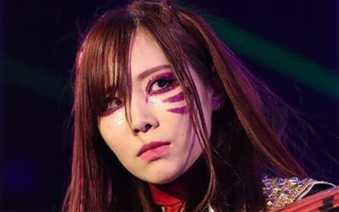 海盗公主宝城海里,将在地狱牢笼PPV上回归,并担任重要角色!
