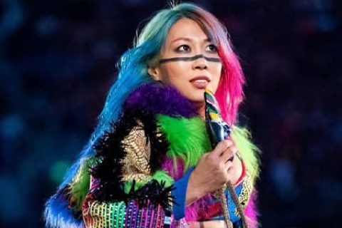 功夫不负有心人！明日华成为去年WWE比赛场数最多的选手