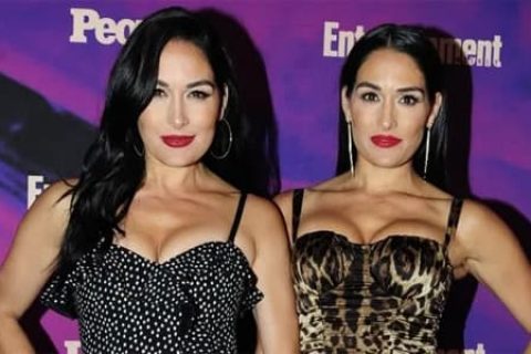 WWE贝拉姐妹双双怀孕，推特上的精美写真让人震惊