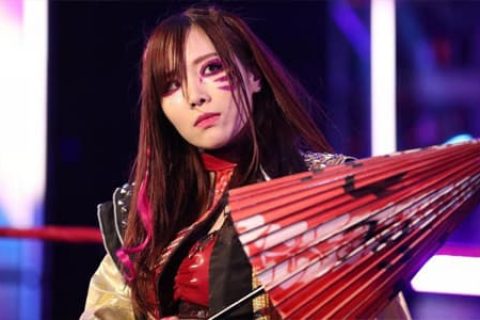宝城海里也不例外?半途离开的WWE剧情选手都会“不得善终”?
