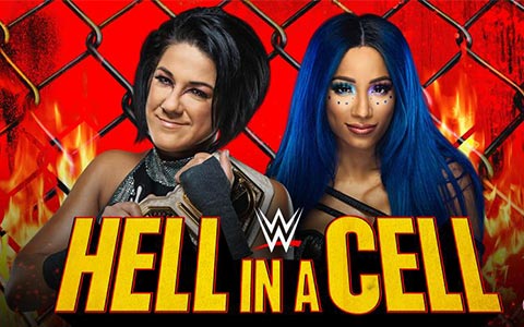 WWE 地狱牢笼大赛 文字解说