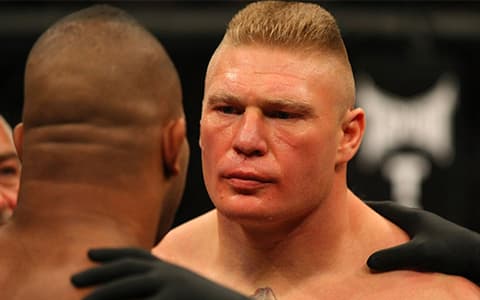布洛克莱斯纳UFC