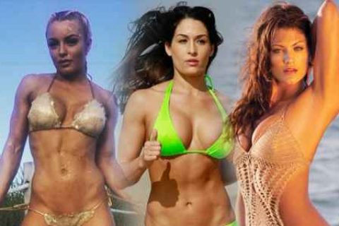 10张最热门的WWE Diva比基尼泳装照片2
