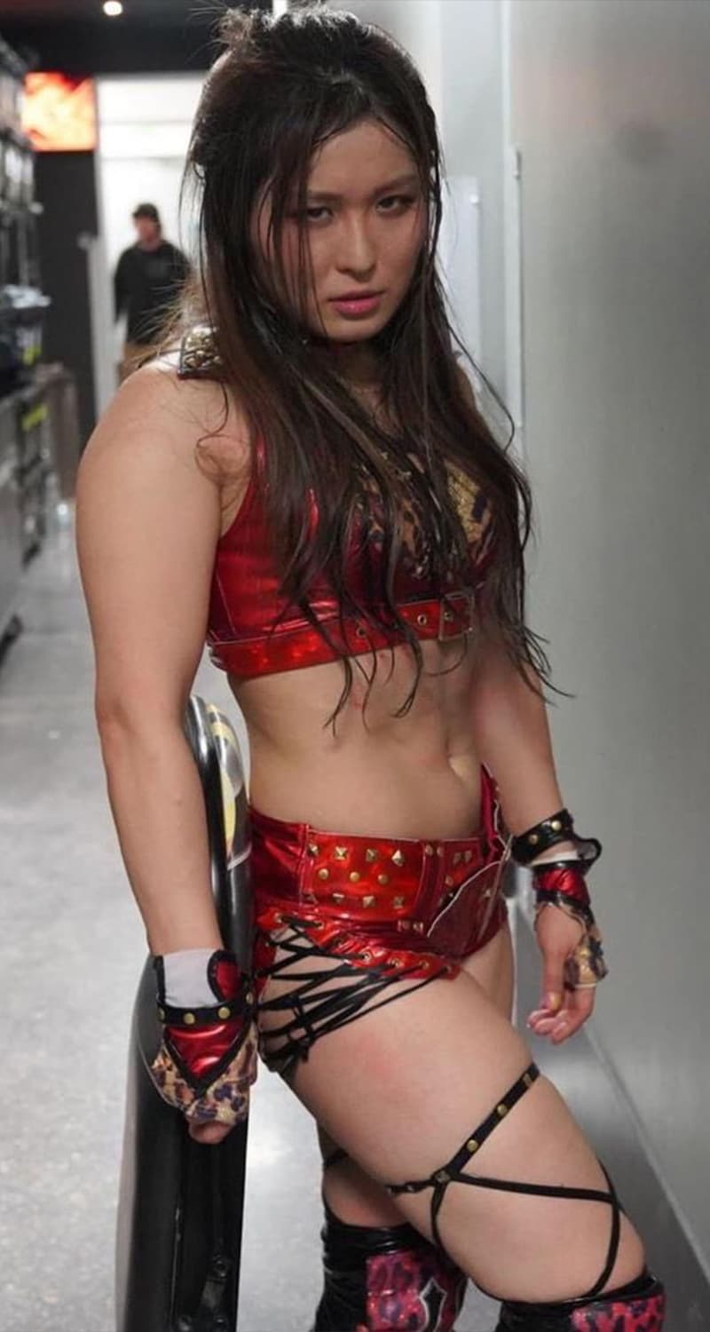 10张最热门的WWE Diva比基尼泳装照片5