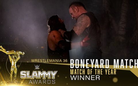WWE2020摔角奖名单：德鲁夺得双冠，送葬者上榜，埃文斯喜提最佳喷子奖