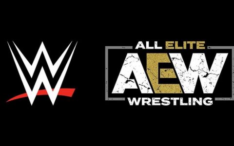 AEW与WWE合作了？克里斯·杰里科将参加冷石的《破碎骷髅会议》