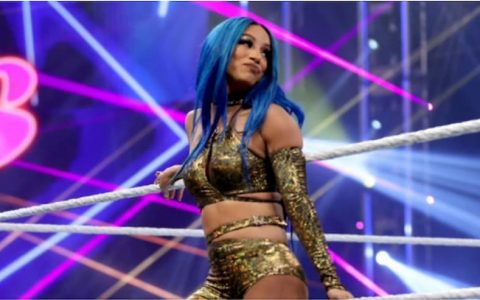 关于WWE超级明星莎夏班克斯的五件你不知道的事