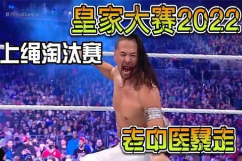 皇家大赛2022：新人里奇霍兰现身擂台火力全开，老中医惨被淘汰
