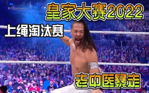 皇家大赛2022：新人里奇霍兰现身擂台火力全开，老中医惨被淘汰