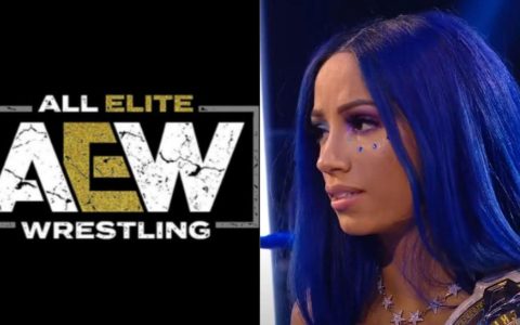 WWE正式解雇莎夏班克斯！AEW又会否是她最适合的下一站？
