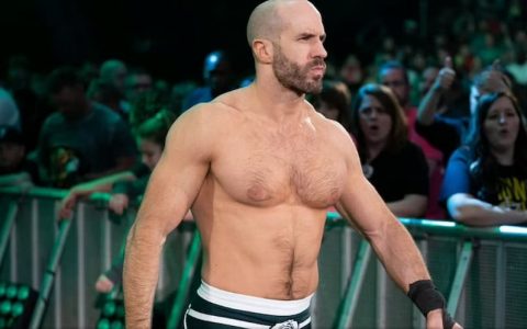 如果塞萨罗回到WWE，他的对手是谁会更精彩？