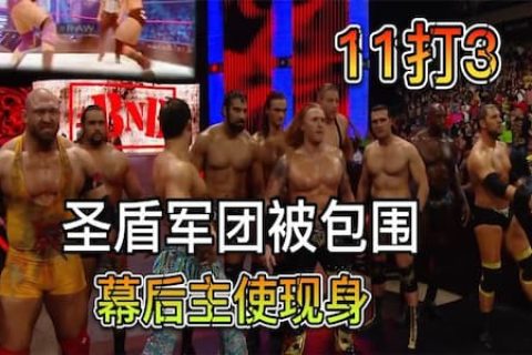 圣盾组合被11位选手包围，幕后主使终于现身，原来是进化者军团