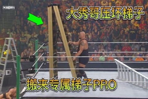 WWE合约阶梯大赛2010（WWE世界重量级冠军合同的合约阶梯大赛）