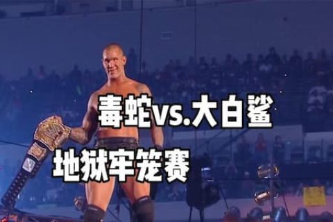 高手过招不是你死就是我亡！兰迪被迫使出禁招，被希莫斯轻松化解