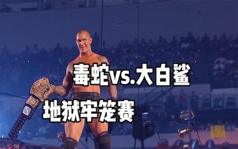 高手过招不是你死就是我亡！兰迪被迫使出禁招，被希莫斯轻松化解