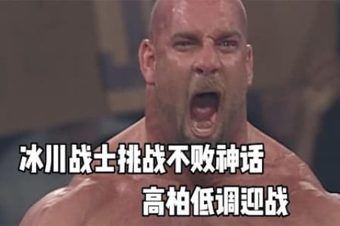 冰川战士挑战高柏，趁高柏不注意率先发起进攻，可惜一分钟被击败