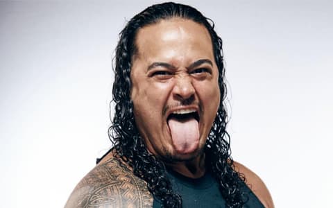 兰斯-阿诺阿伊 Lance Anoa'i