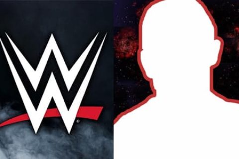 WWE老将38岁宣布退役！文斯麦克曼曾信任他会在WWE比赛中保护斯蒂芬妮的安全