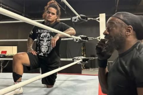 WWE摔迷认为下一位血统成员很快就会到来