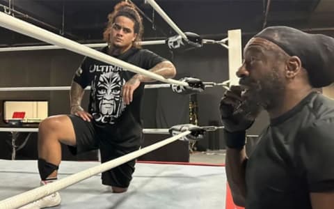 WWE摔迷认为下一位血统成员很快就会到来