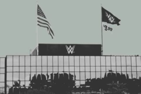 报道证实：WWE又发生一件令人震惊的退役事件