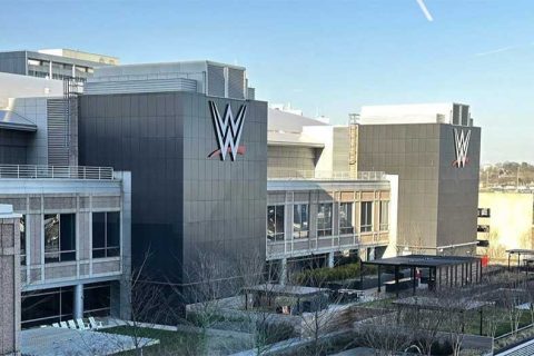 大裁员核心真相曝光！WWE官宣大规模清退原因，伤病保护政策正式废除