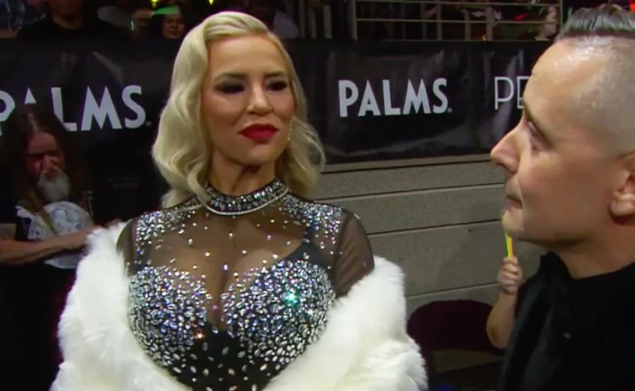 前WWE明星戴娜布鲁克谈论转变为TNA角色Ash by Elegance的过程