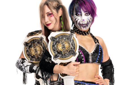 WWE女子双打冠军