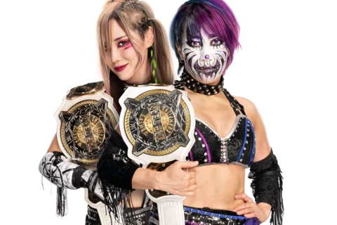WWE女子双打冠军