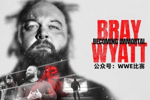 WWE超级巨星“邪神”布雷怀亚特纪录片【中文字幕】