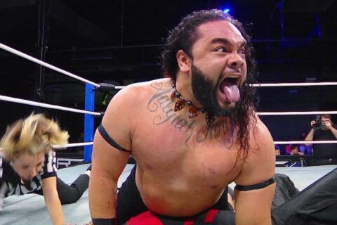 WWE官方对这位血统的新成员感到眼前一亮，认为他未来充满可能