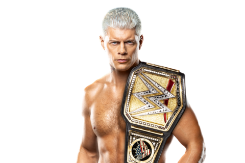 WWE冠军