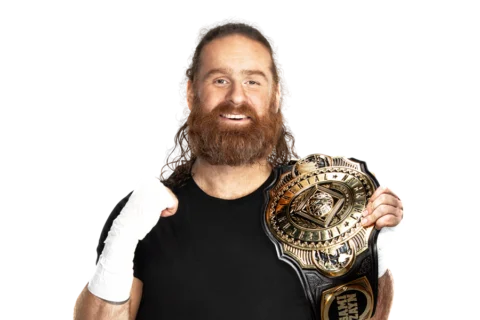 WWE洲际冠军
