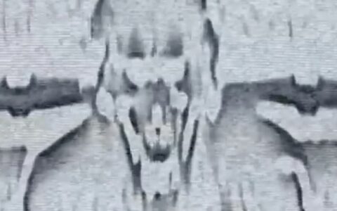 WWE SmackDown再次闪现怀亚特主题的二维码