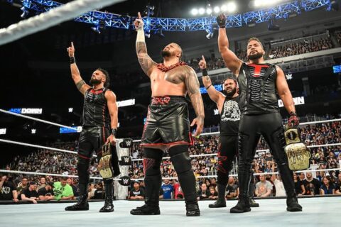 WWE、AEW双打组：曾经的辉煌不再，如今“凉透了”？！