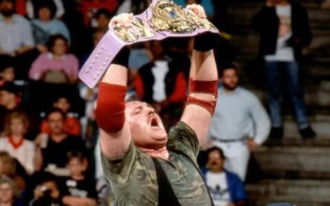 WWE史上最高的十位冠军，巨人安德烈竟只拿了一分钟？！