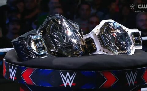 HHH惊喜现身NXT！肖恩·迈克尔斯发布全新NXT冠军腰带！