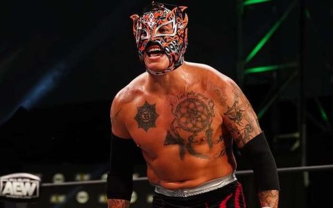 摔角界空中王者！雷·菲尼克斯即将登陆WWE SmackDown