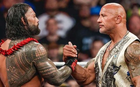罗曼·雷恩斯（Roman Reigns）和巨石强森