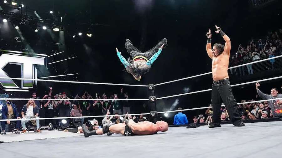 哈迪兄弟(The Hardys,马特·哈迪Matt Hardy与杰夫·哈迪Jeff Hardy)